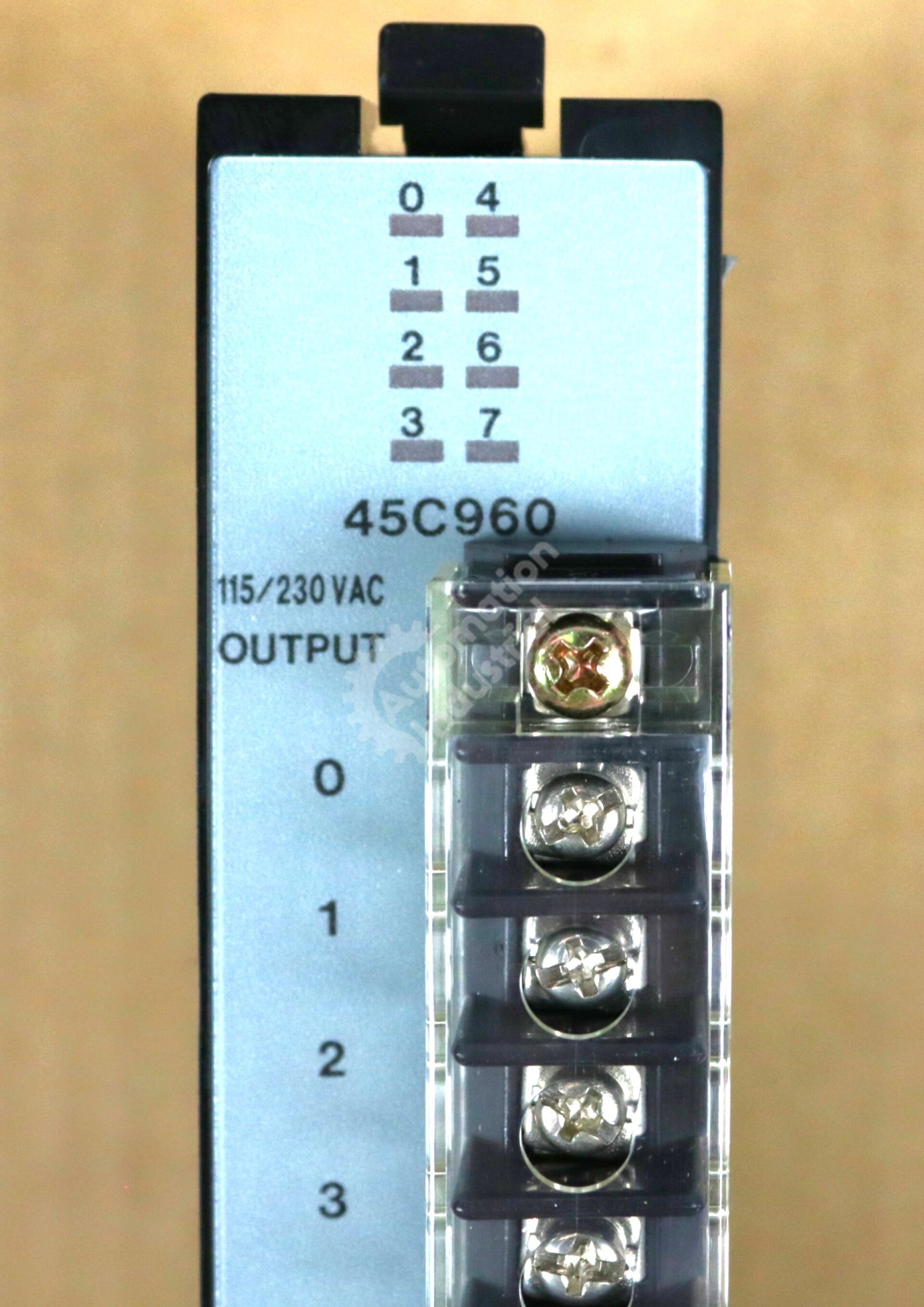 45C960 By Reliance Electric 115/230 VAC 8-Point Output Module NSFP Shark XL