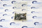 Motorola 31-50255N14 CPU Board